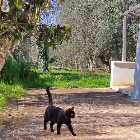 Vila Casa Baronessa Ceglie Messapica Exteriér fotografie