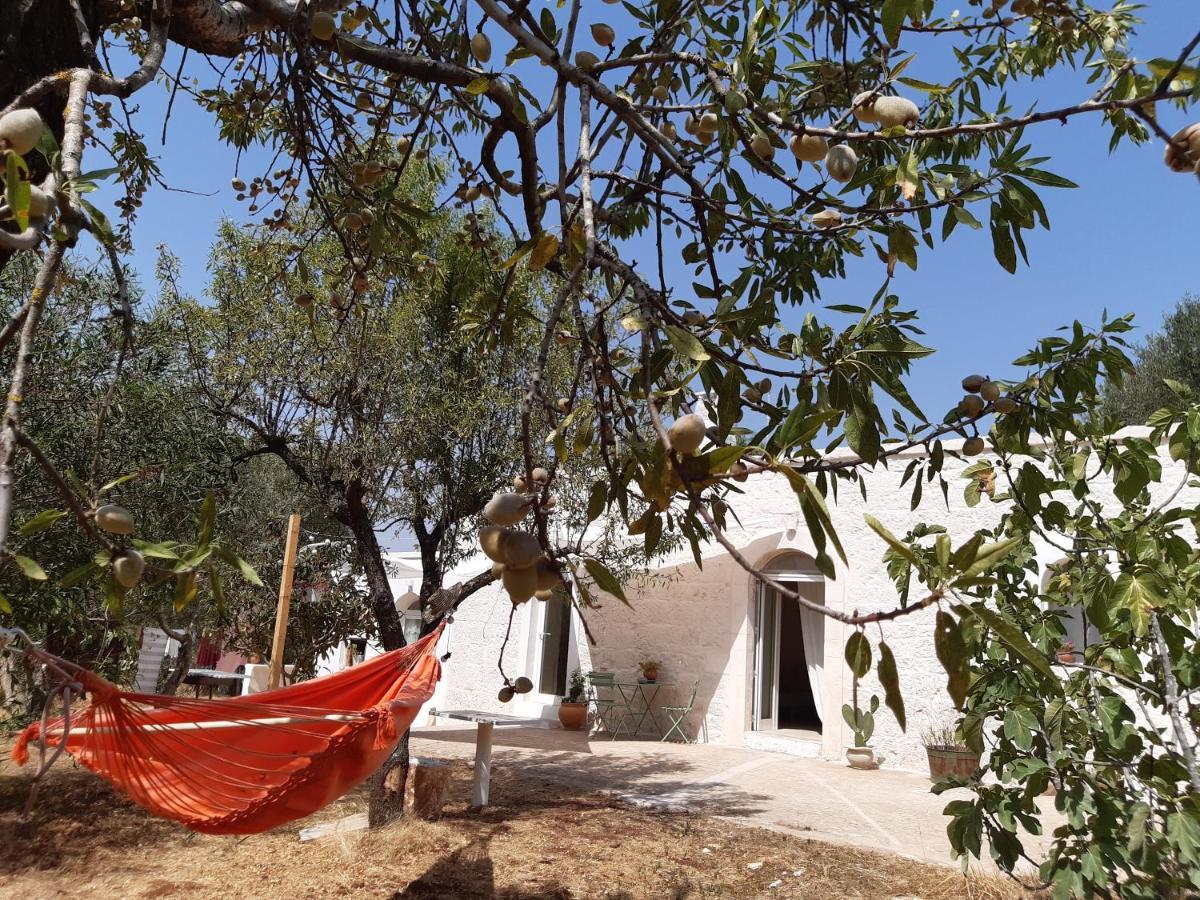Vila Casa Baronessa Ceglie Messapica Exteriér fotografie