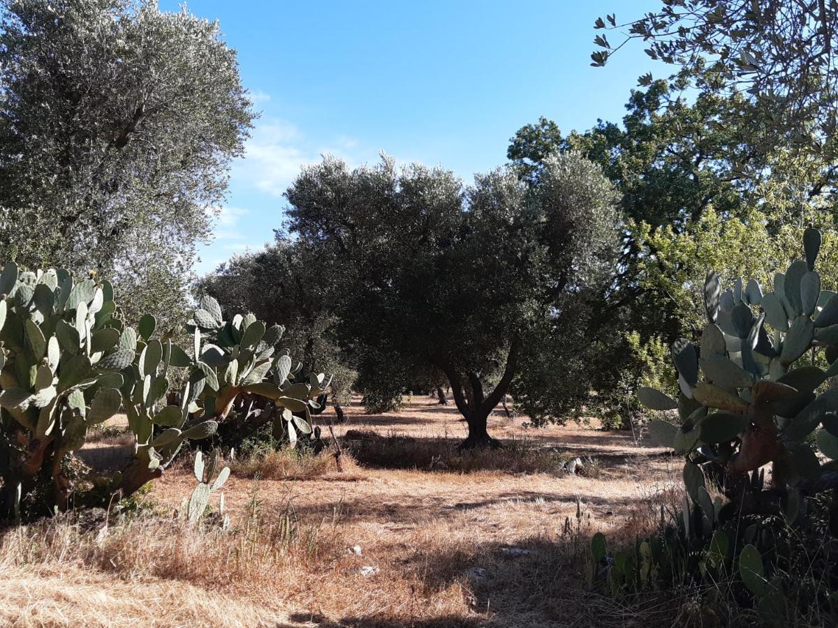 Vila Casa Baronessa Ceglie Messapica Exteriér fotografie