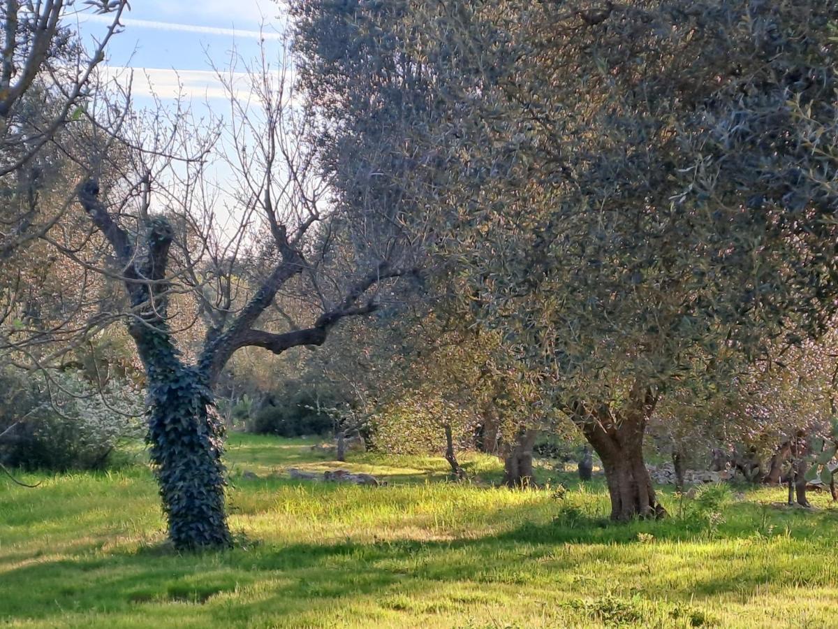 Vila Casa Baronessa Ceglie Messapica Exteriér fotografie