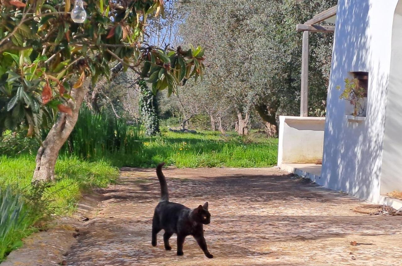 Vila Casa Baronessa Ceglie Messapica Exteriér fotografie